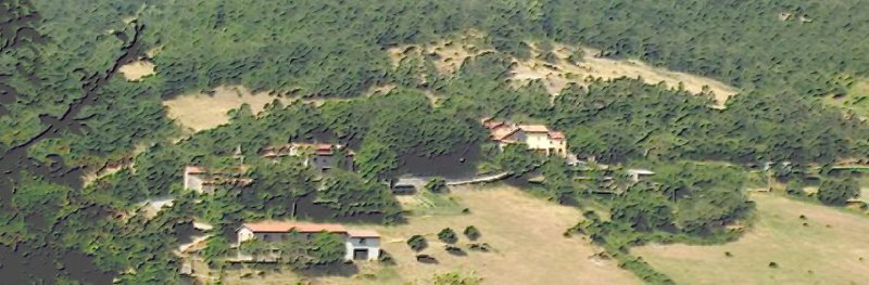 Blog 1