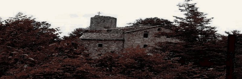 Blog 1