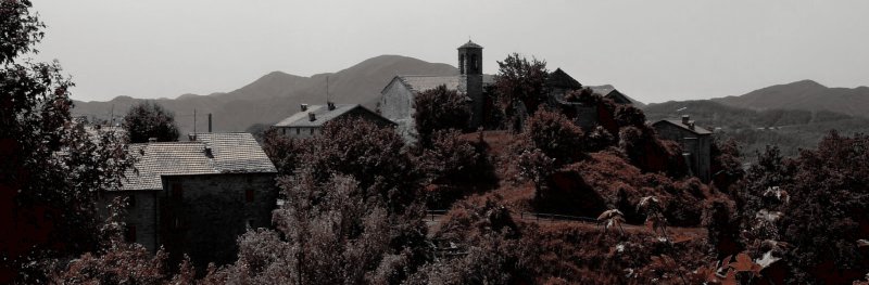 Blog 1