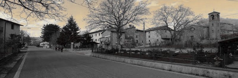 Blog 1
