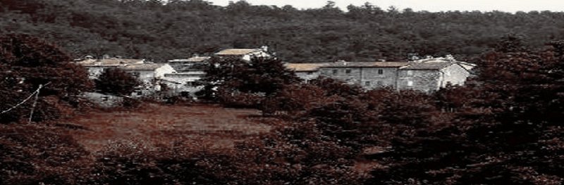 Blog 2